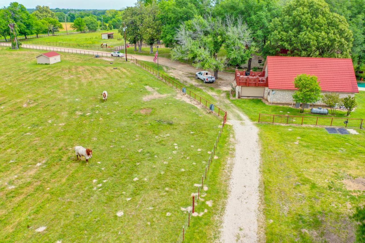 Dog-Friendly Wills Point Home With Grill On 10 Acres Canton Extérieur photo